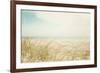 Beach Grass V Light-Elizabeth Urquhart-Framed Photographic Print