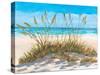 Beach Grass-Julie DeRice-Stretched Canvas
