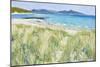 Beach Grasses, Berneray, 2011-Charles Simpson-Mounted Giclee Print