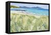 Beach Grasses, Berneray, 2011-Charles Simpson-Framed Stretched Canvas