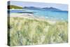 Beach Grasses, Berneray, 2011-Charles Simpson-Stretched Canvas