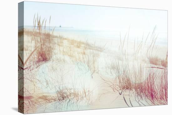 Beach Grasses on the Seashore-soupstock-Stretched Canvas