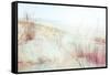 Beach Grasses on the Seashore-soupstock-Framed Stretched Canvas