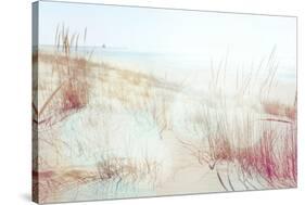 Beach Grasses on the Seashore-soupstock-Stretched Canvas