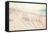 Beach Grasses on the Seashore-soupstock-Framed Stretched Canvas