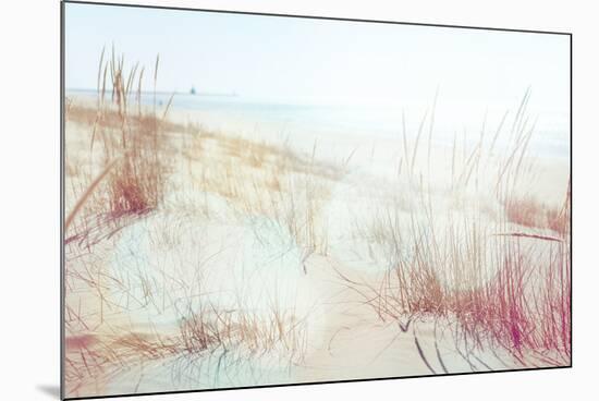 Beach Grasses on the Seashore-soupstock-Mounted Photographic Print