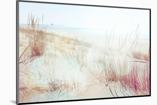 Beach Grasses on the Seashore-soupstock-Mounted Photographic Print