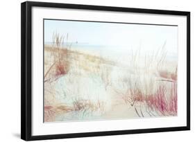 Beach Grasses on the Seashore-soupstock-Framed Photographic Print