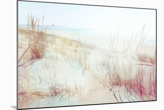 Beach Grasses on the Seashore-soupstock-Mounted Photographic Print