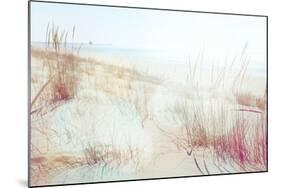 Beach Grasses on the Seashore-soupstock-Mounted Photographic Print