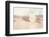 Beach Grasses on the Seashore-soupstock-Framed Photographic Print