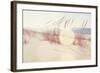 Beach Grasses on the Seashore-soupstock-Framed Photographic Print