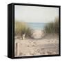Beach Grasses-Pela Studio-Framed Stretched Canvas