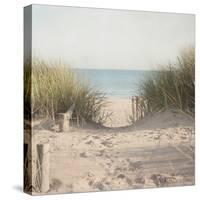 Beach Grasses-Pela Studio-Stretched Canvas