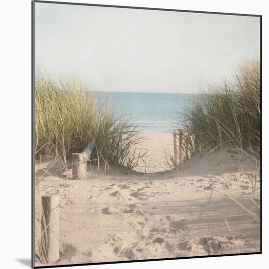 Beach Grasses-Pela Studio-Mounted Photographic Print