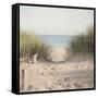 Beach Grasses-Pela Studio-Framed Stretched Canvas