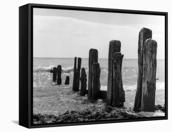 Beach Groyne-null-Framed Stretched Canvas