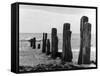 Beach Groyne-null-Framed Stretched Canvas
