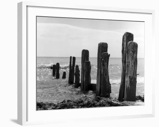 Beach Groyne-null-Framed Photographic Print