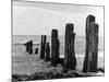 Beach Groyne-null-Mounted Photographic Print