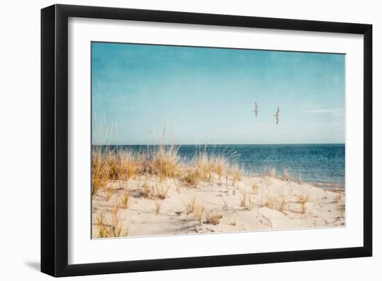 Beach & Gulls-Brooke T. Ryan-Framed Photographic Print