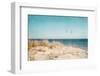 Beach & Gulls-Brooke T. Ryan-Framed Photographic Print