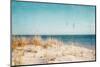 Beach & Gulls-Brooke T. Ryan-Mounted Photographic Print