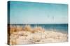 Beach & Gulls-Brooke T. Ryan-Stretched Canvas