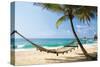 Beach Hammock & Tropic Sea-null-Stretched Canvas