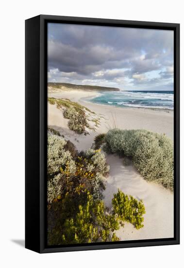 Beach, Hanson Bay, Kangaroo Island, Australia-Martin Zwick-Framed Stretched Canvas