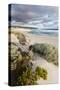 Beach, Hanson Bay, Kangaroo Island, Australia-Martin Zwick-Stretched Canvas