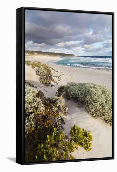 Beach, Hanson Bay, Kangaroo Island, Australia-Martin Zwick-Framed Stretched Canvas