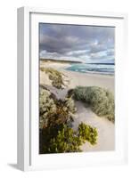 Beach, Hanson Bay, Kangaroo Island, Australia-Martin Zwick-Framed Photographic Print