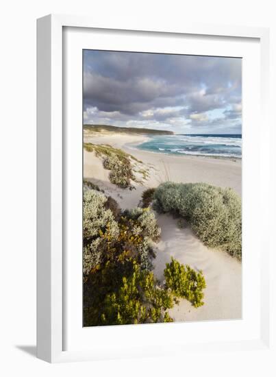 Beach, Hanson Bay, Kangaroo Island, Australia-Martin Zwick-Framed Photographic Print