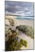 Beach, Hanson Bay, Kangaroo Island, Australia-Martin Zwick-Mounted Photographic Print