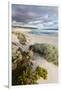 Beach, Hanson Bay, Kangaroo Island, Australia-Martin Zwick-Framed Premium Photographic Print