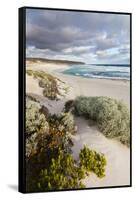 Beach, Hanson Bay, Kangaroo Island, Australia-Martin Zwick-Framed Stretched Canvas