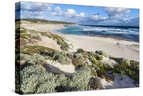 Beach, Hanson Bay, Kangaroo Island, Australia-Martin Zwick-Stretched Canvas