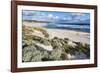 Beach, Hanson Bay, Kangaroo Island, Australia-Martin Zwick-Framed Photographic Print