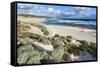 Beach, Hanson Bay, Kangaroo Island, Australia-Martin Zwick-Framed Stretched Canvas