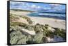 Beach, Hanson Bay, Kangaroo Island, Australia-Martin Zwick-Framed Stretched Canvas