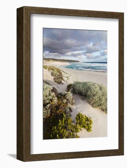 Beach, Hanson Bay, Kangaroo Island, Australia-Martin Zwick-Framed Photographic Print