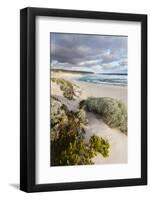 Beach, Hanson Bay, Kangaroo Island, Australia-Martin Zwick-Framed Photographic Print