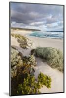 Beach, Hanson Bay, Kangaroo Island, Australia-Martin Zwick-Mounted Photographic Print