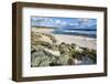 Beach, Hanson Bay, Kangaroo Island, Australia-Martin Zwick-Framed Photographic Print