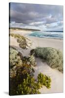 Beach, Hanson Bay, Kangaroo Island, Australia-Martin Zwick-Stretched Canvas