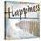 Beach Happiness 2-Karen Williams-Stretched Canvas