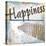 Beach Happiness 2-Karen Williams-Stretched Canvas