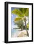 Beach, Holetown, St. James, Barbados, West Indies, Caribbean, Central America-Frank Fell-Framed Photographic Print