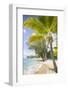 Beach, Holetown, St. James, Barbados, West Indies, Caribbean, Central America-Frank Fell-Framed Photographic Print